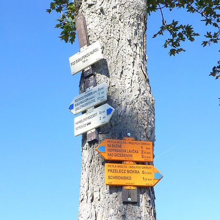 Dom Wsrod Gwiazd Villa Jarnołtówek Eksteriør billede