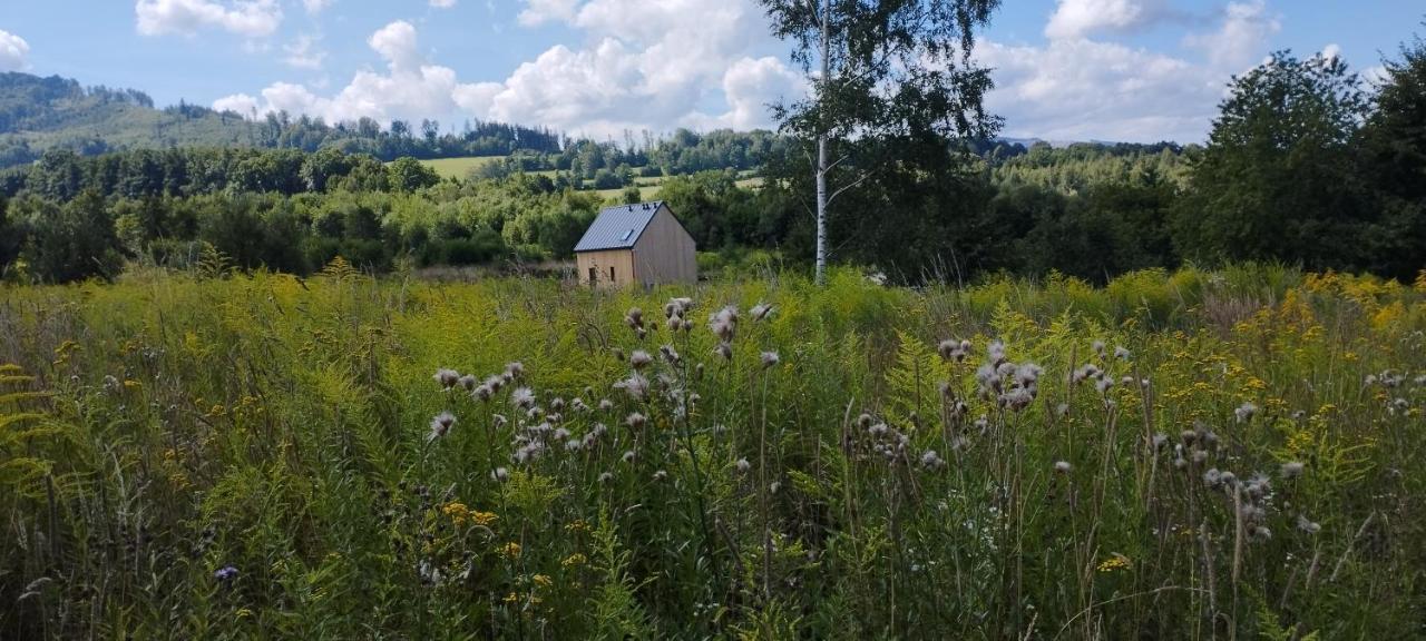 Dom Wsrod Gwiazd Villa Jarnołtówek Eksteriør billede